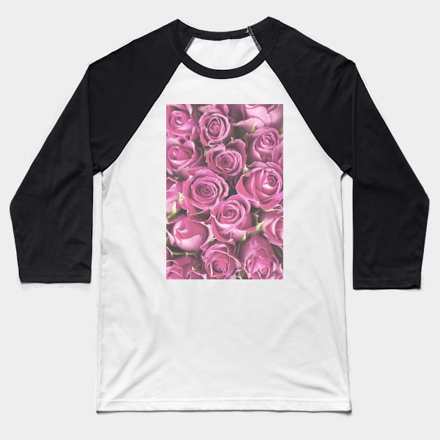 Pale Pink Roses Photo Baseball T-Shirt by Claireandrewss